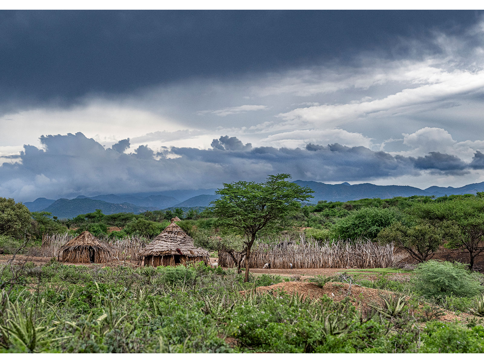 Omo Valley Village | Clare Oliver Photographer